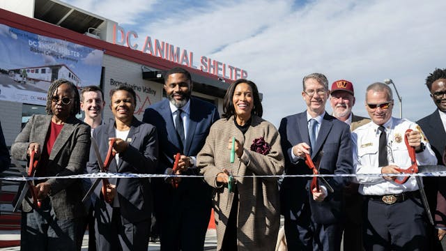 New Beginnings in D.C.