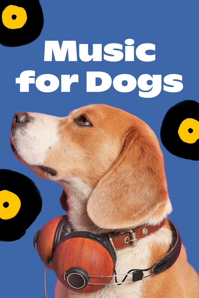 Music for Dogs