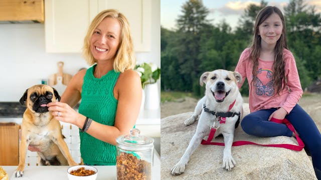 A Very Merry Pets Add Life Christmas