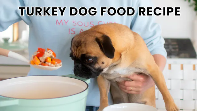 One-Pot Turkey Dinner