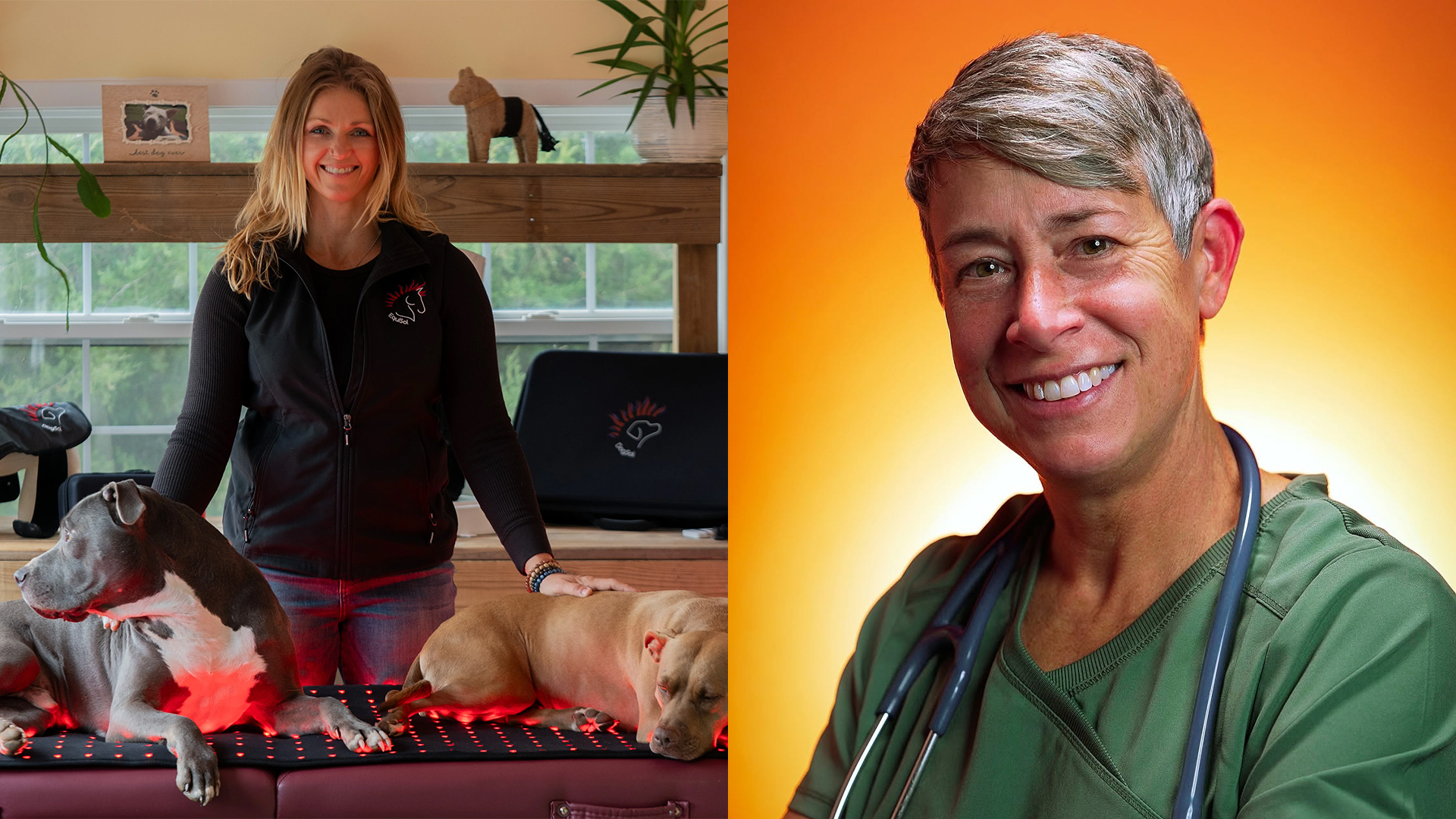 Red Light Therapy, Smarter Veterinary Care & Healthier Pets
