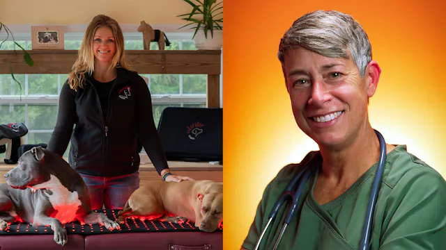 Red Light Therapy, Smarter Veterinary...