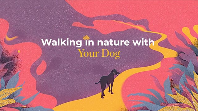 Walking in Nature with Your Dog