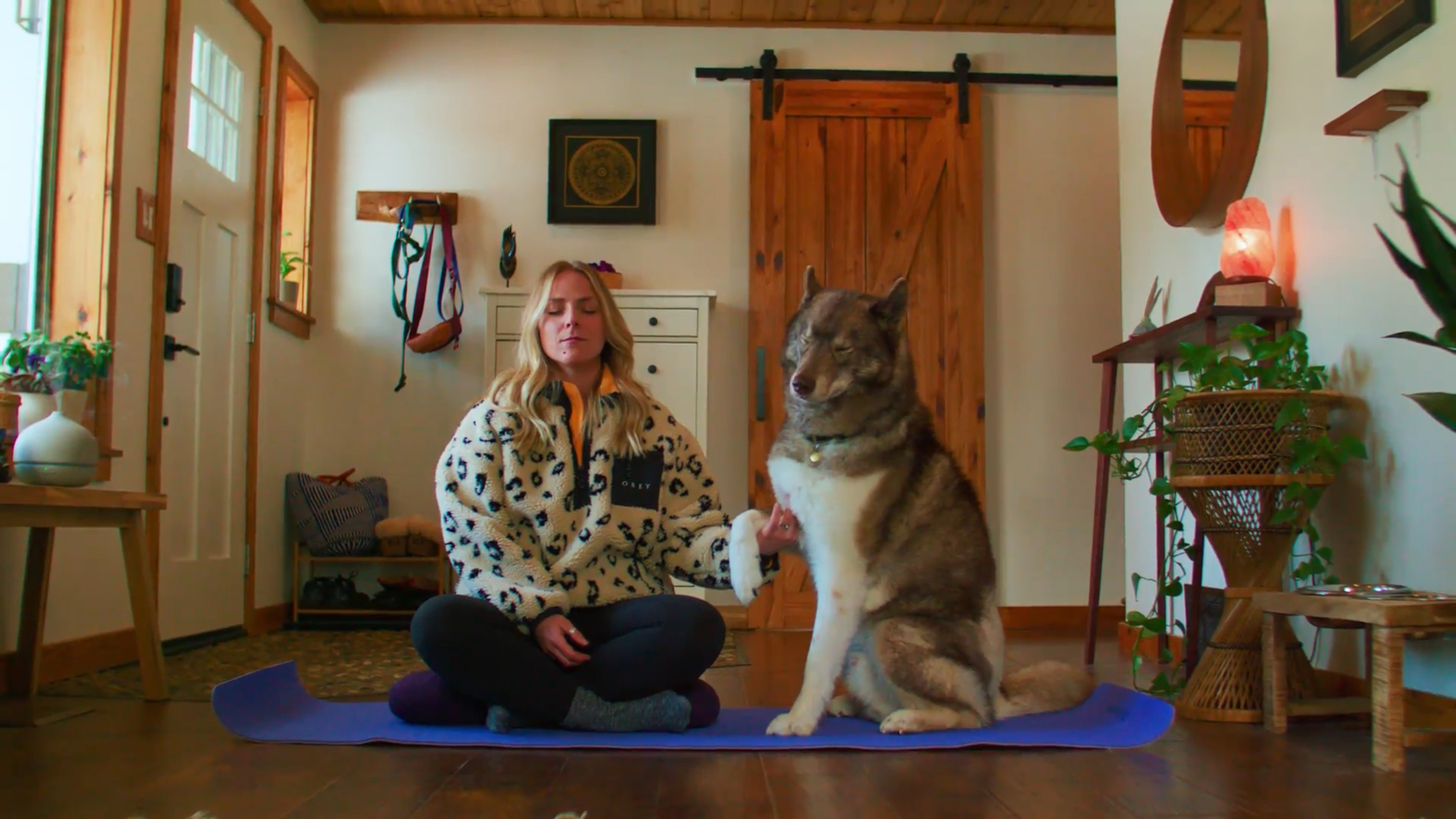 3 Ways for a Relaxed Bond with Your Pet