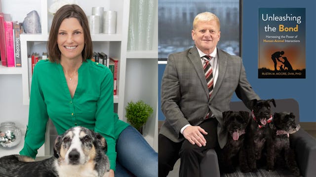 Pet Poison Prevention, The Human-Anim...