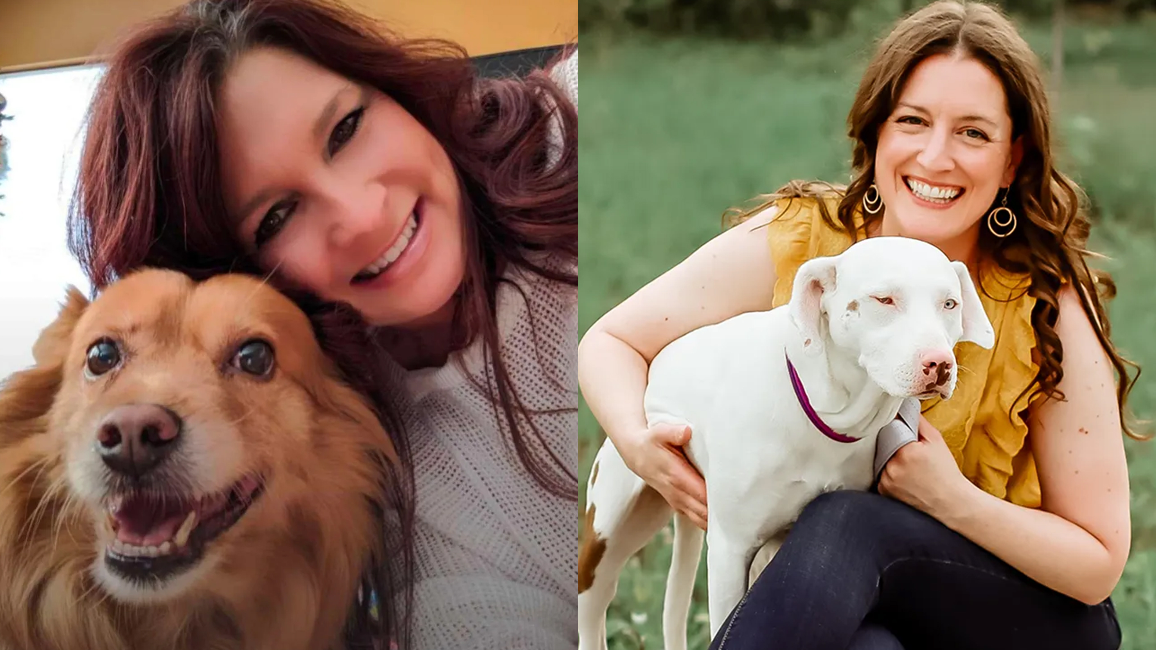 Pet Loss, Healing Hearts & Building Stronger Bonds with Dogs