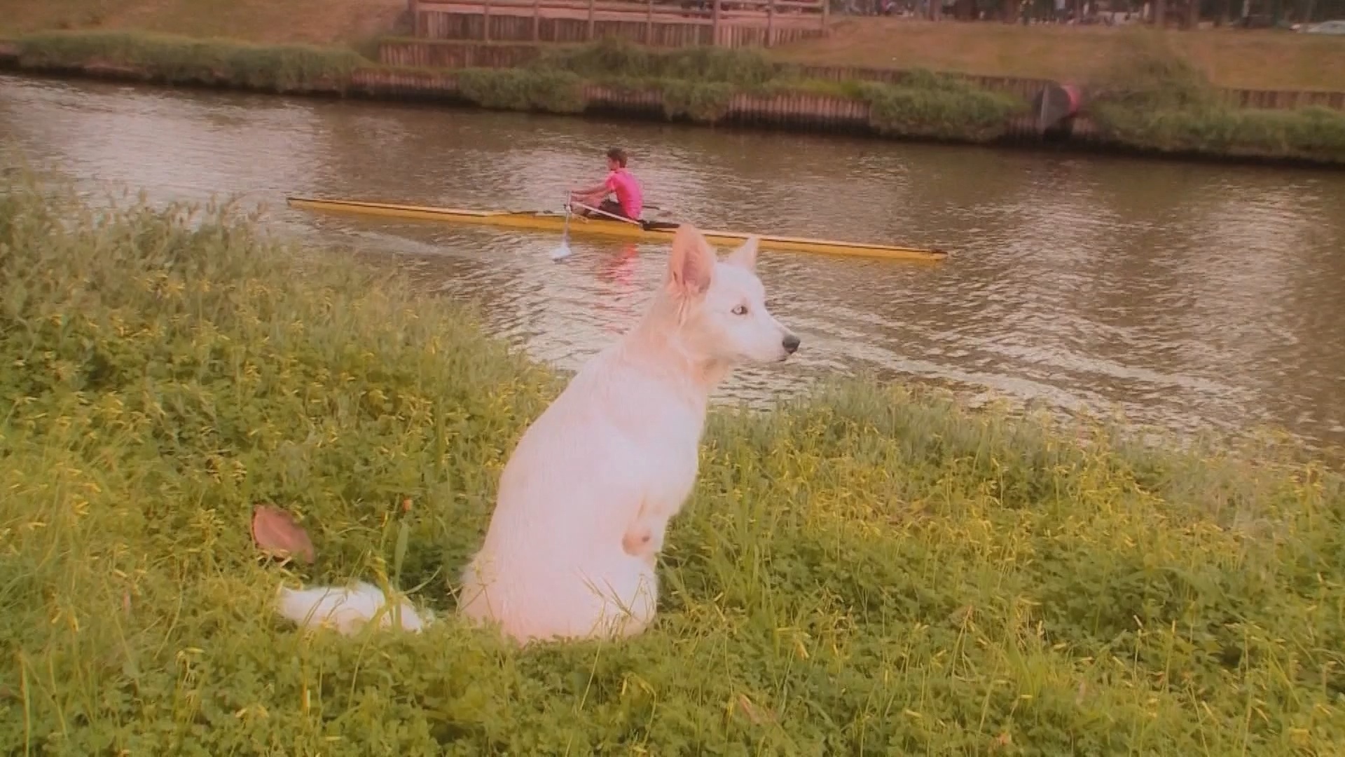 A Kayak Floats By