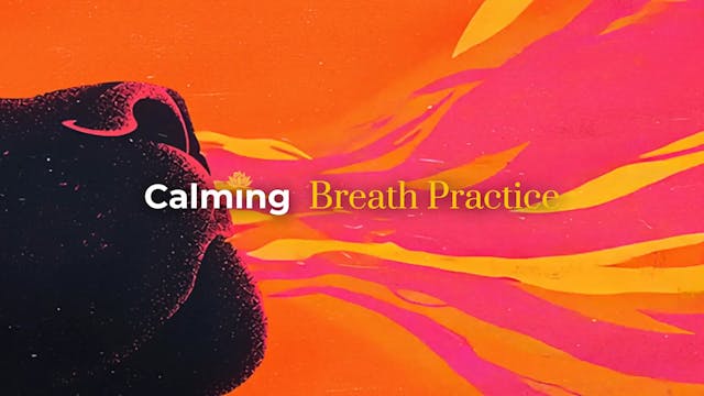 Calming Breath Practice