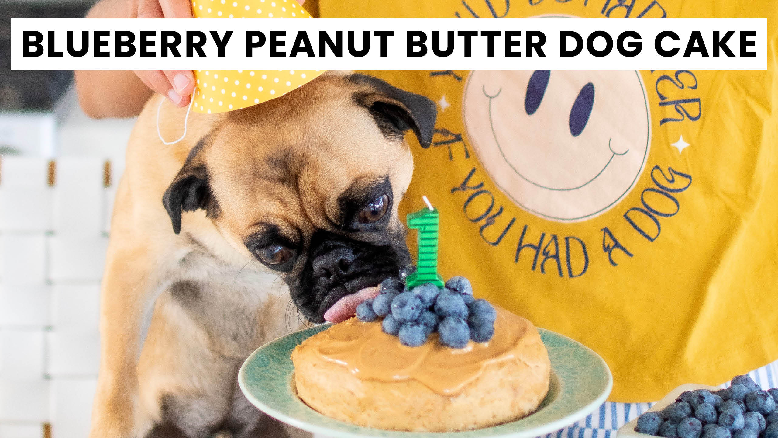 Blueberry Peanut Butter Birthday Cake for Dogs