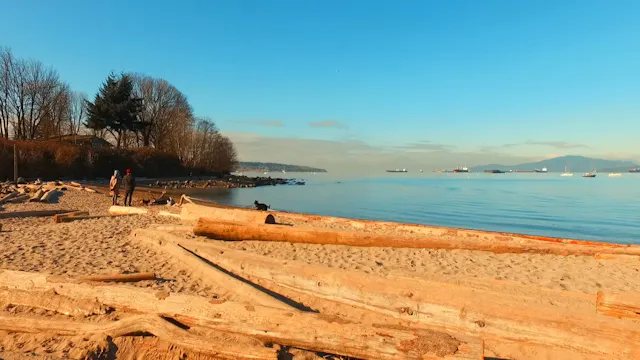 Dogs on the Beach in Autumn