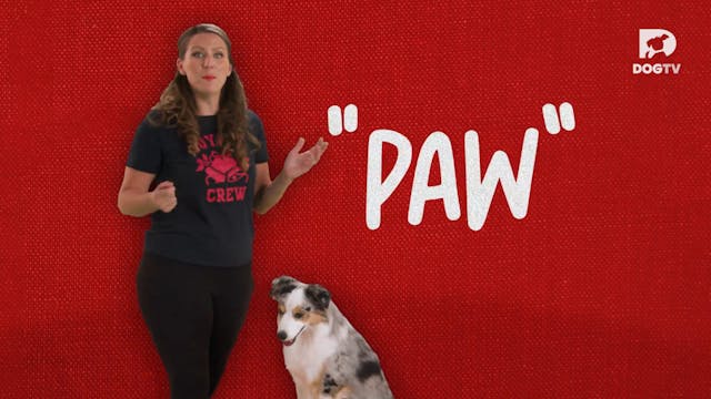 Paw