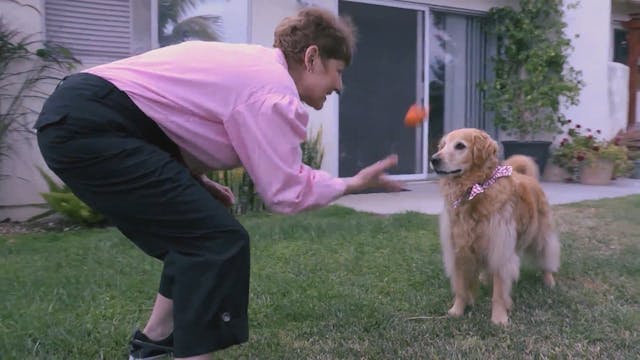 Backyard Fetch