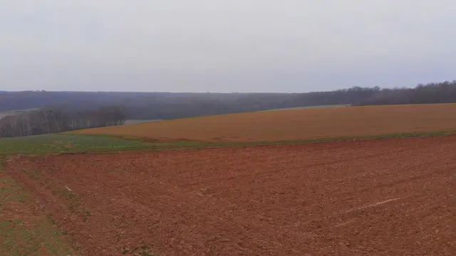 A Quiet Autumn Trail