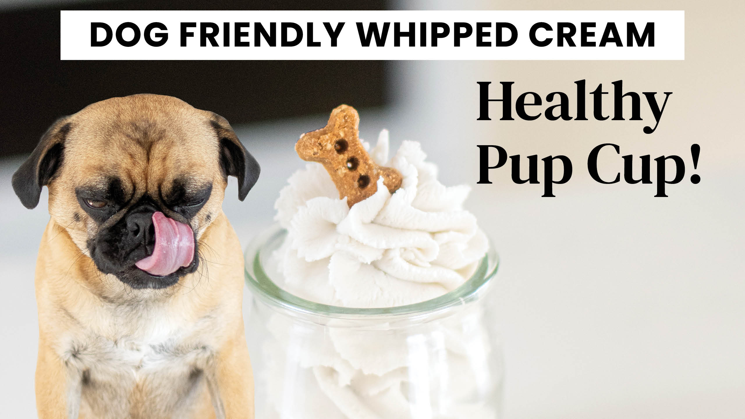 Homemade Pup Cup in Minutes