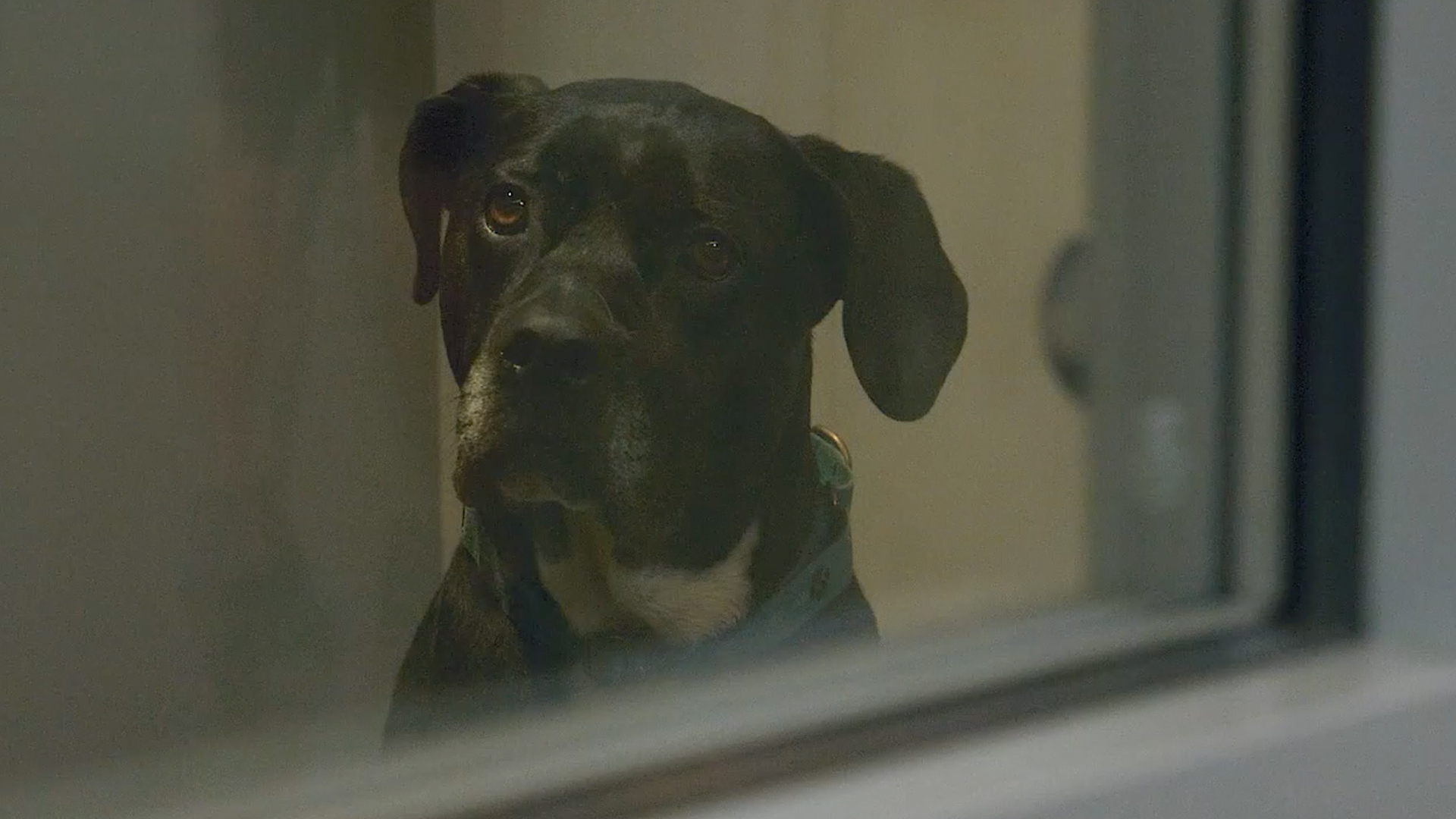 Saving Lives in San Diego