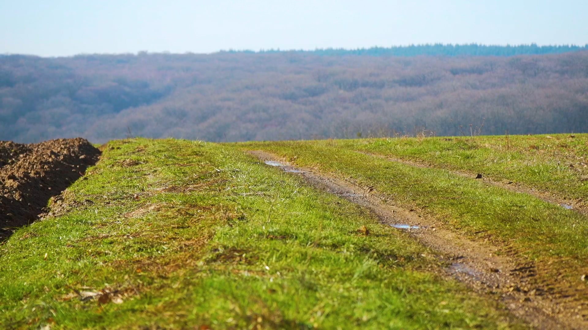 A Curious Walk in the Fields