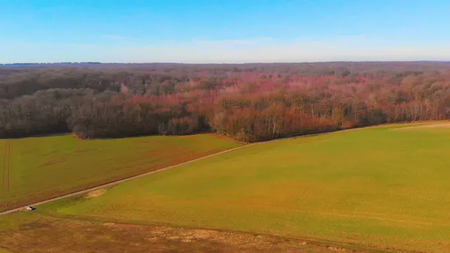 Fields from Above