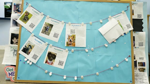 Care, Community & Second Chances