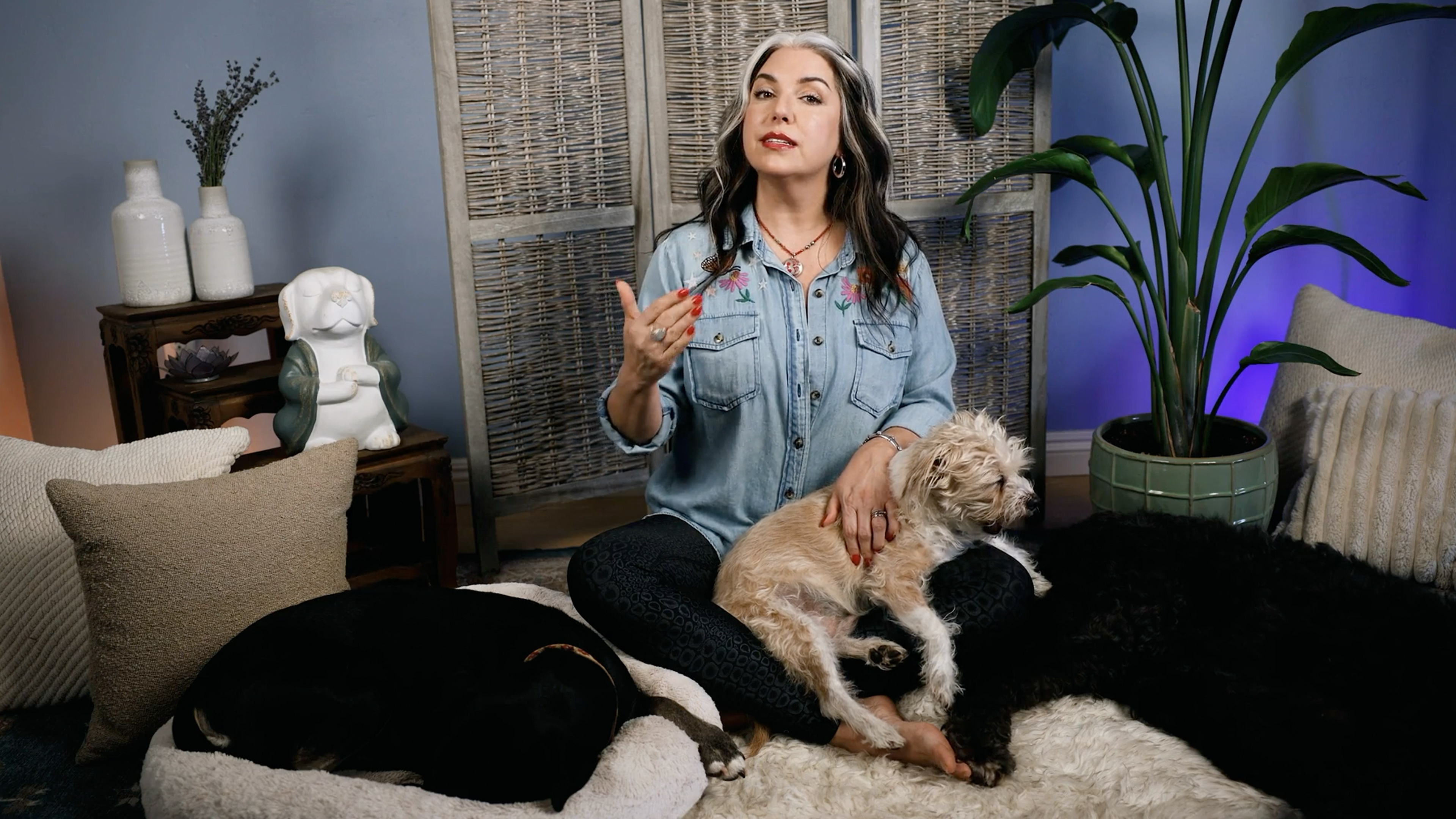 Weekend Meditations #3