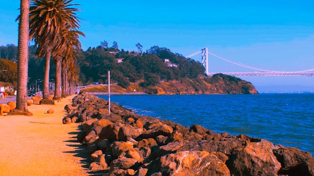 Beach Walk