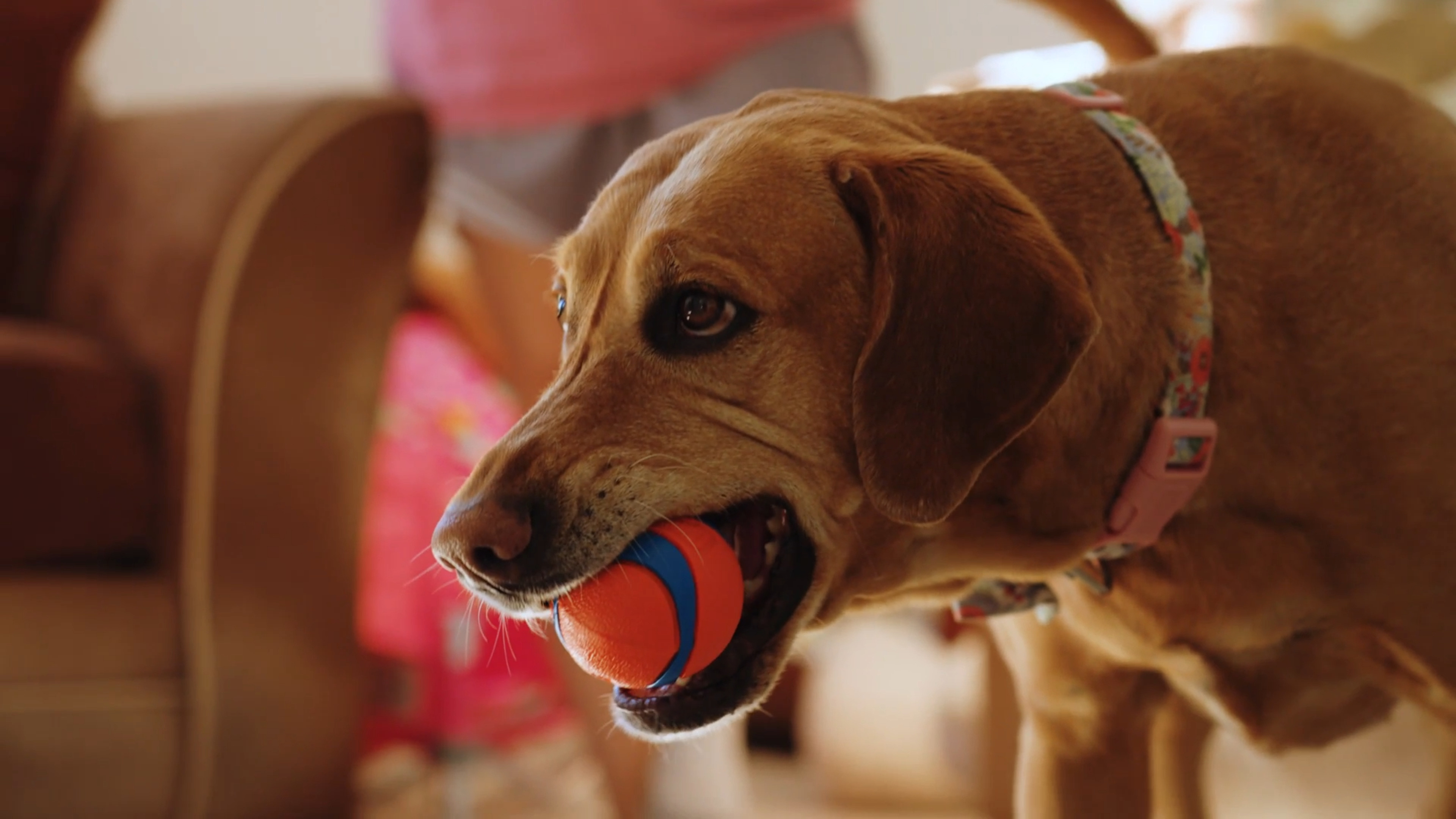 Interactive Toys and Games