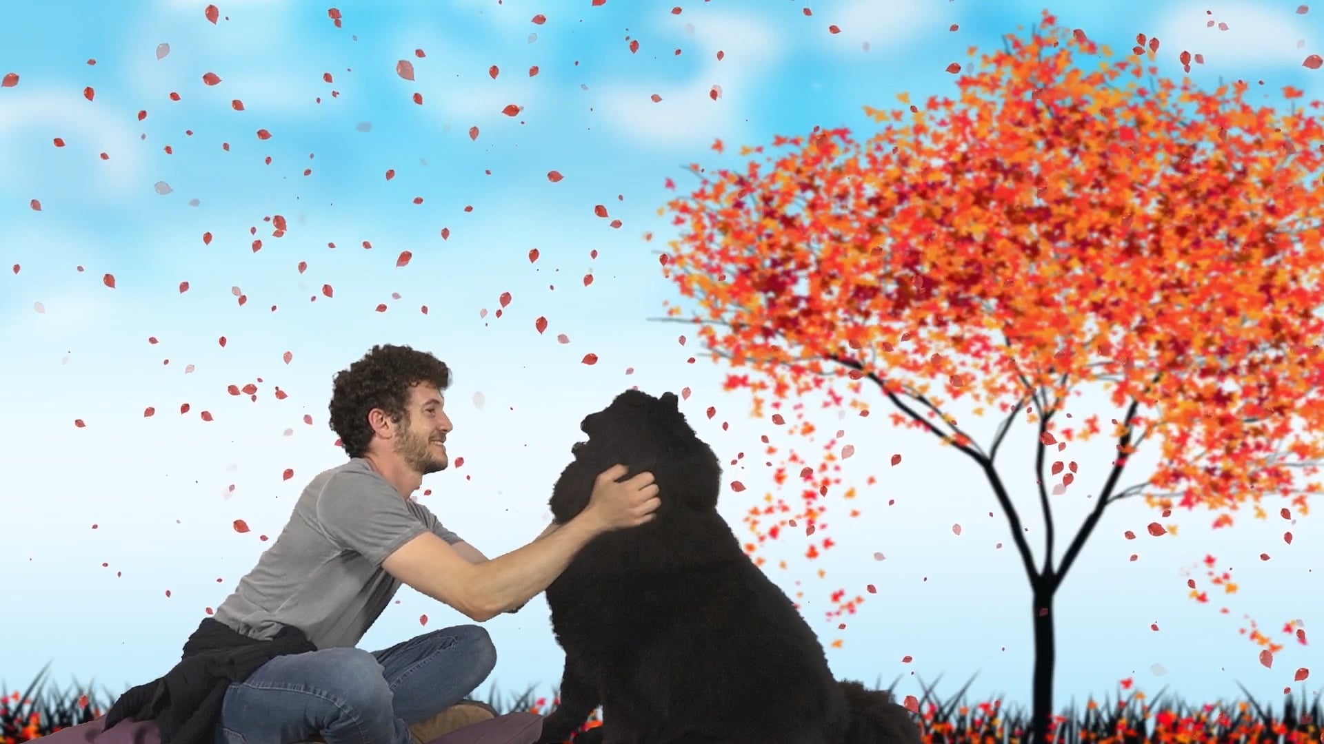 Together with Falling Leaves