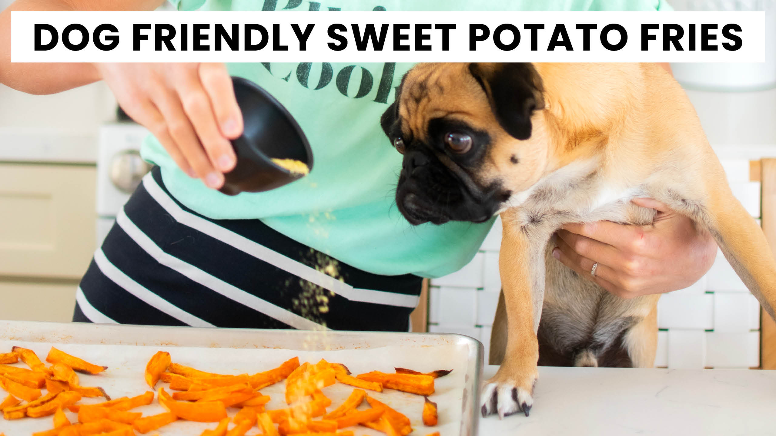 Sweet Potato Fries for Dogs