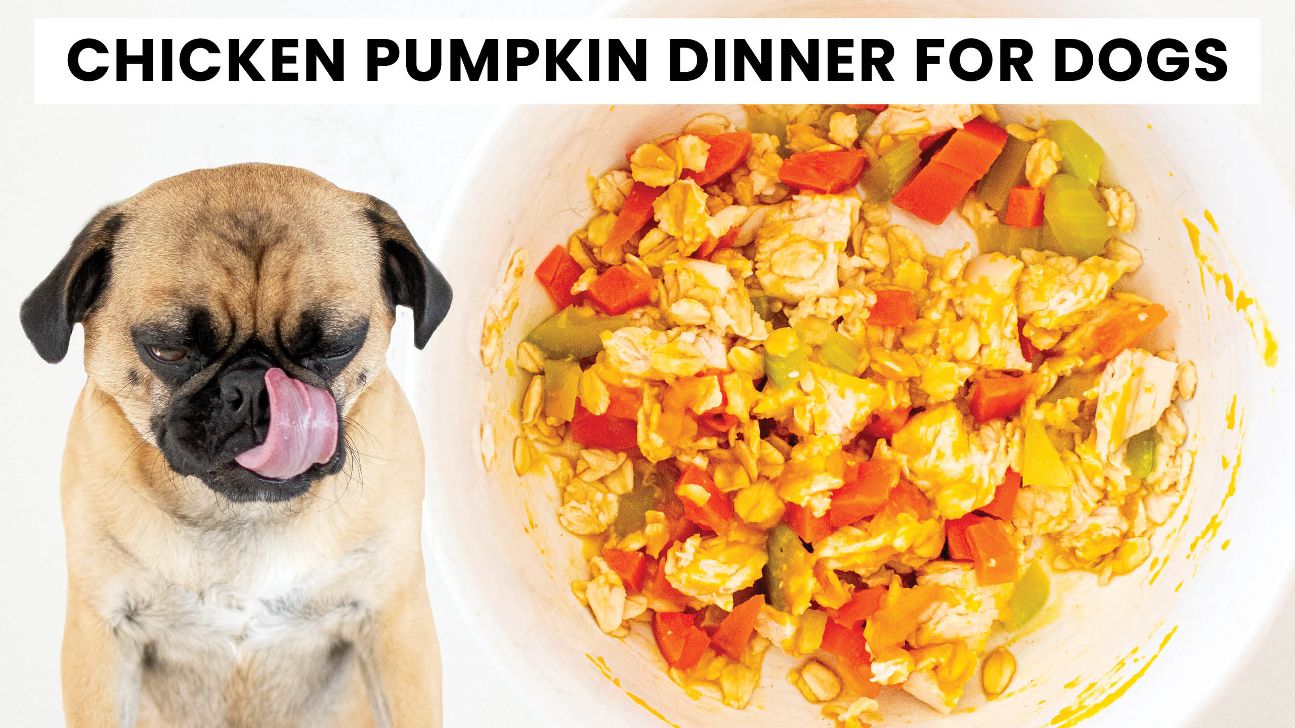 Chicken and Pumpkin Dinner for Dogs