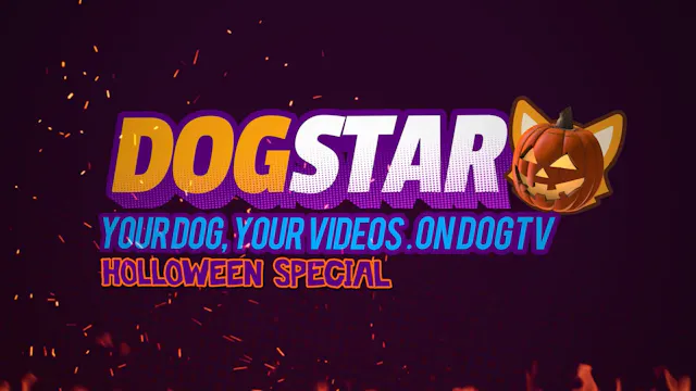 DOGSTAR Halloween Special