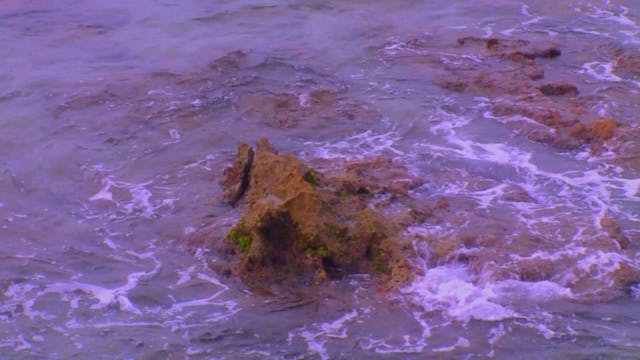 Rocky Shore