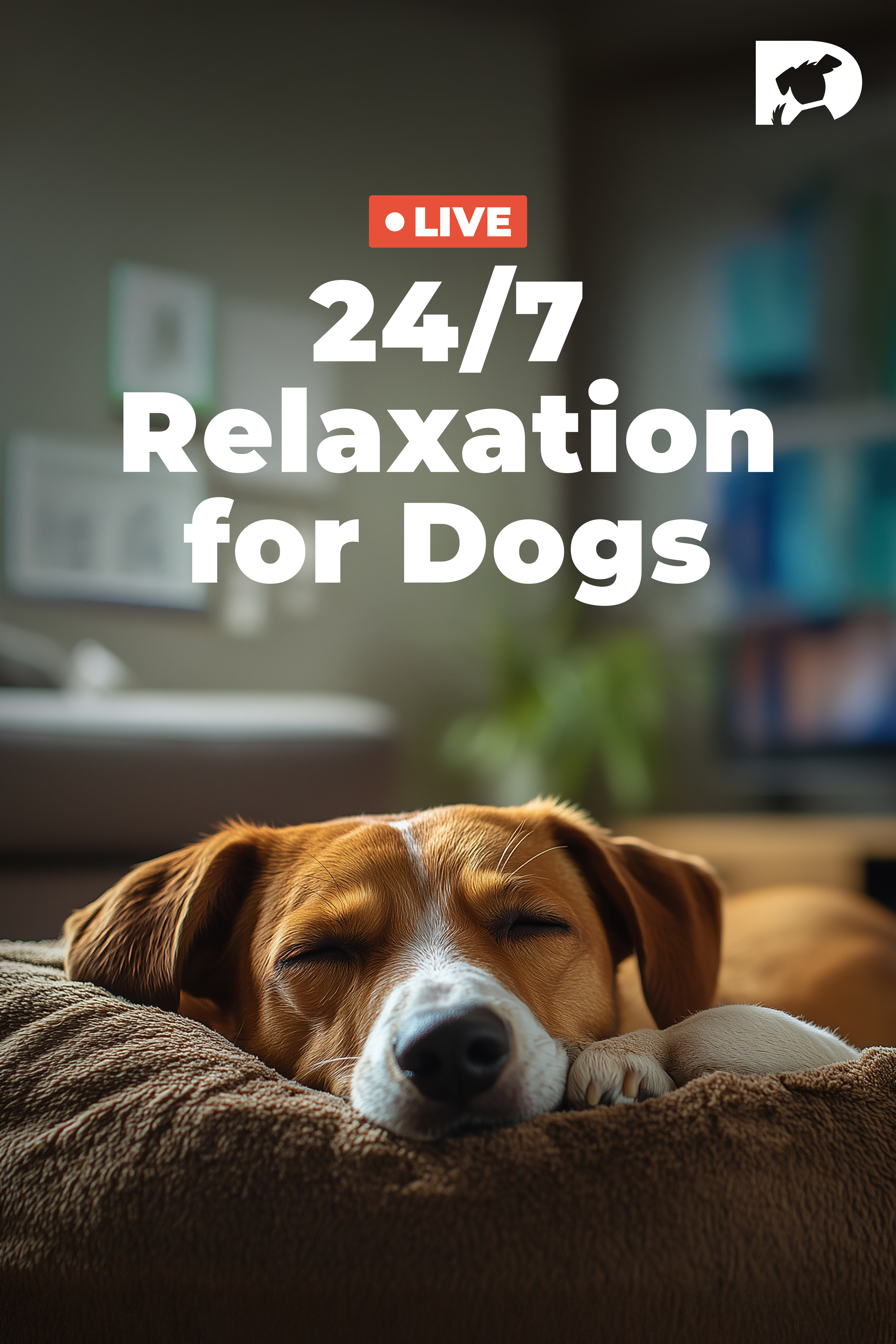 LIVE 24/7 Relaxation for Dogs