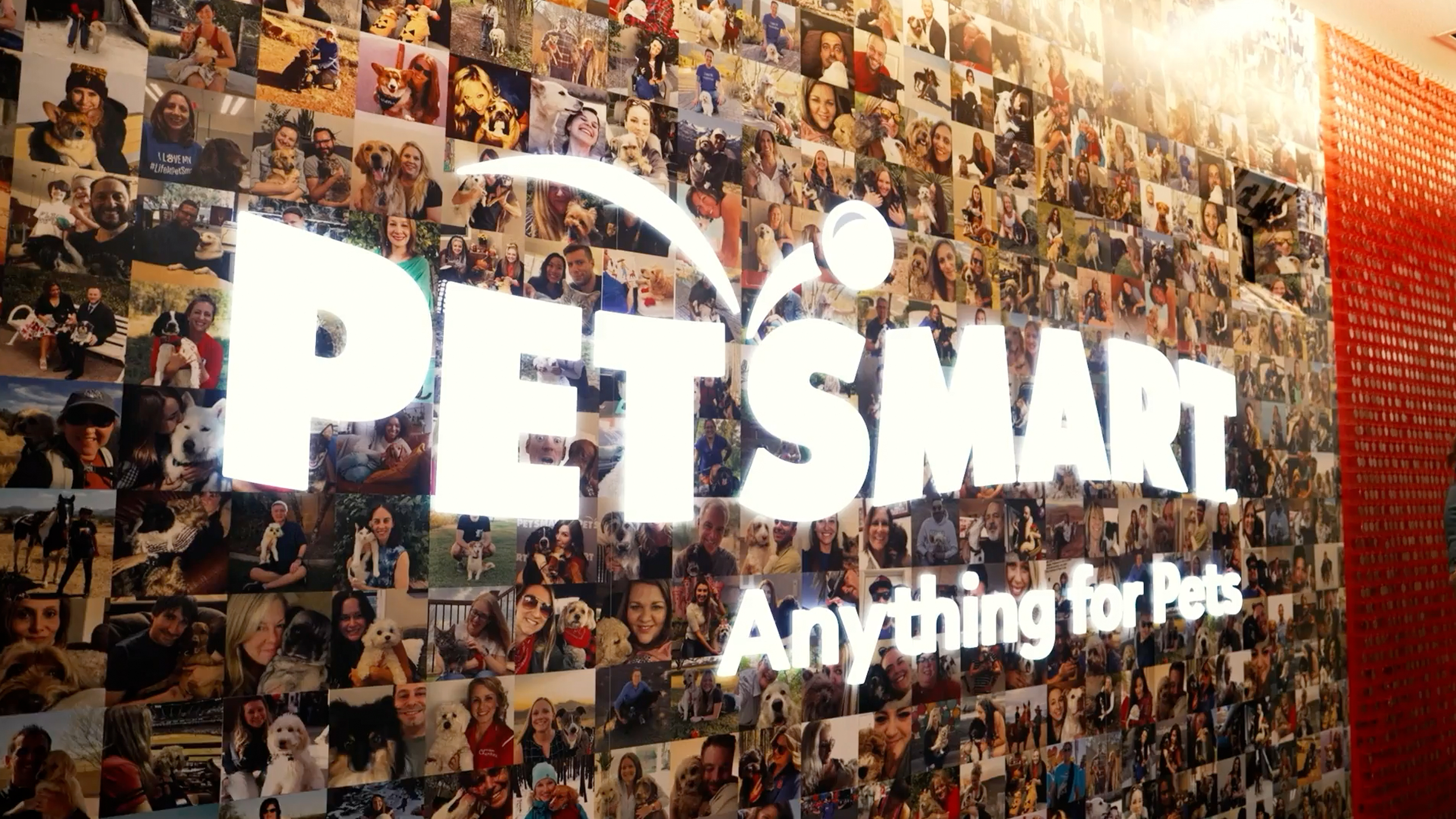 PetSmart Charities in Action