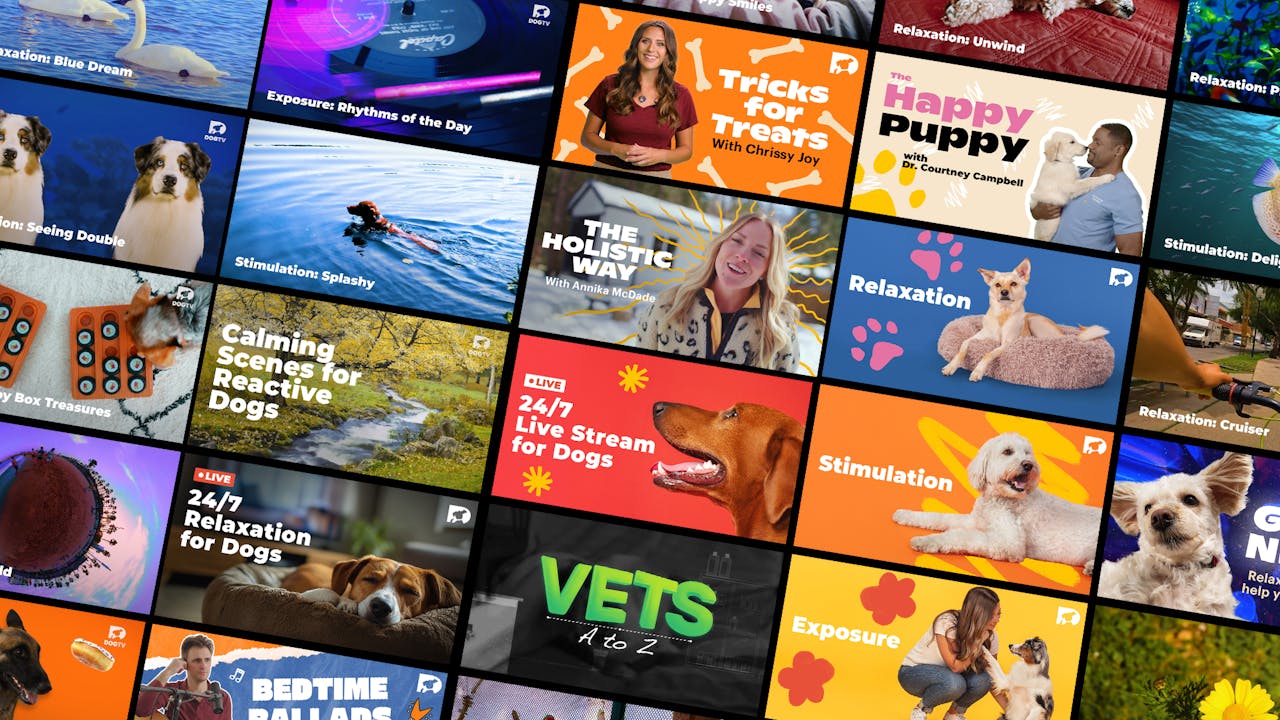 watch.dogtv.com