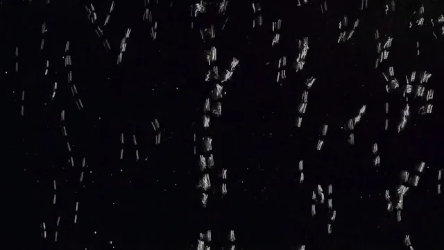 A Shimmer of Bubbles