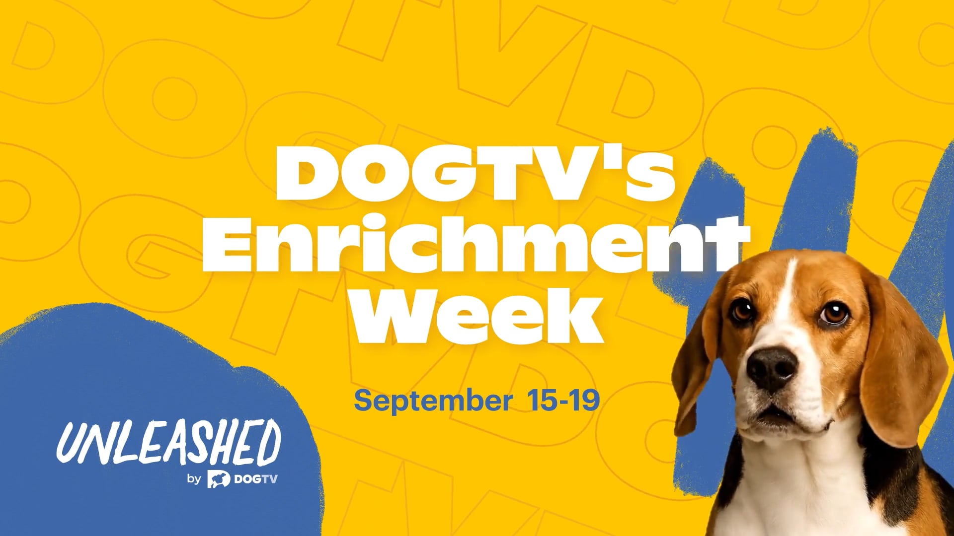 DOGTV’s Enrichment Week
