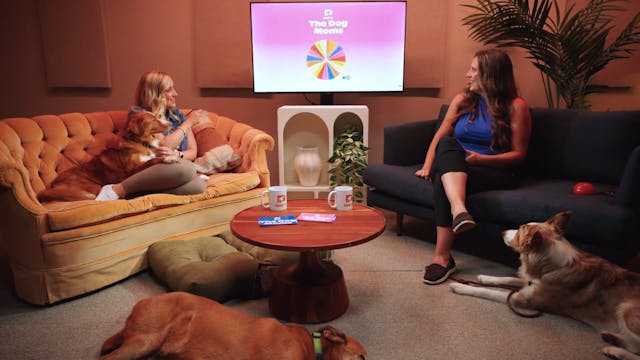 New Beginnings with the Dog Moms