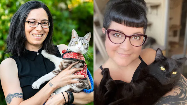 International Cat Day: Cat Behavior, ...
