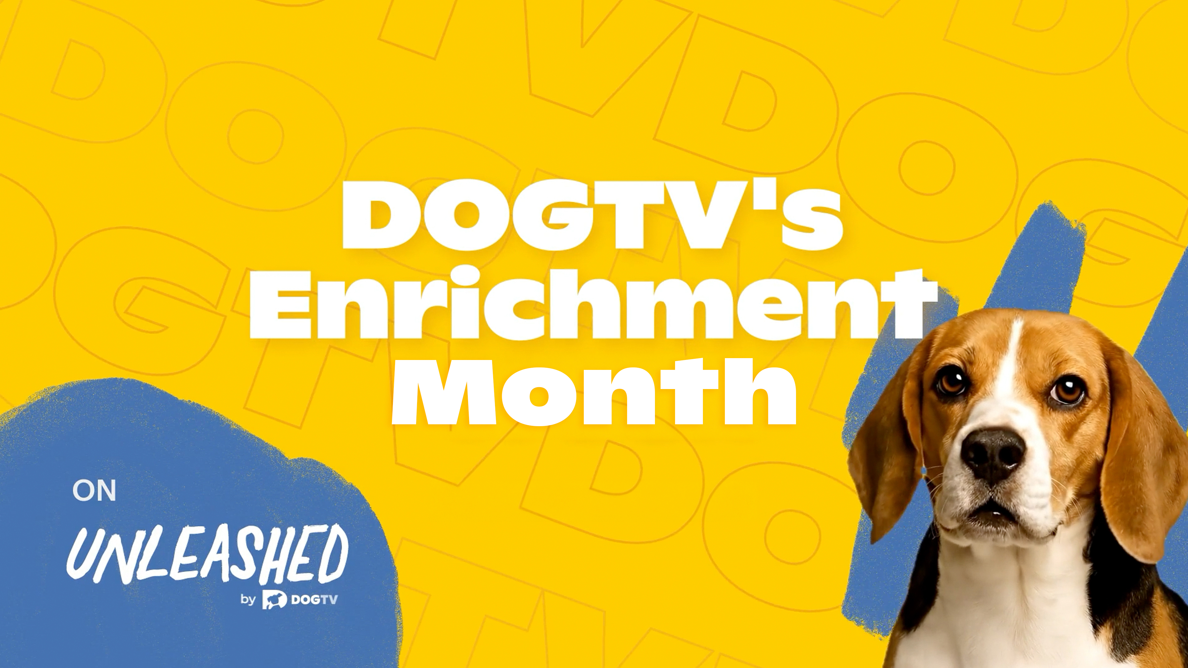 Celebrate DOGTV’s Enrichment Month