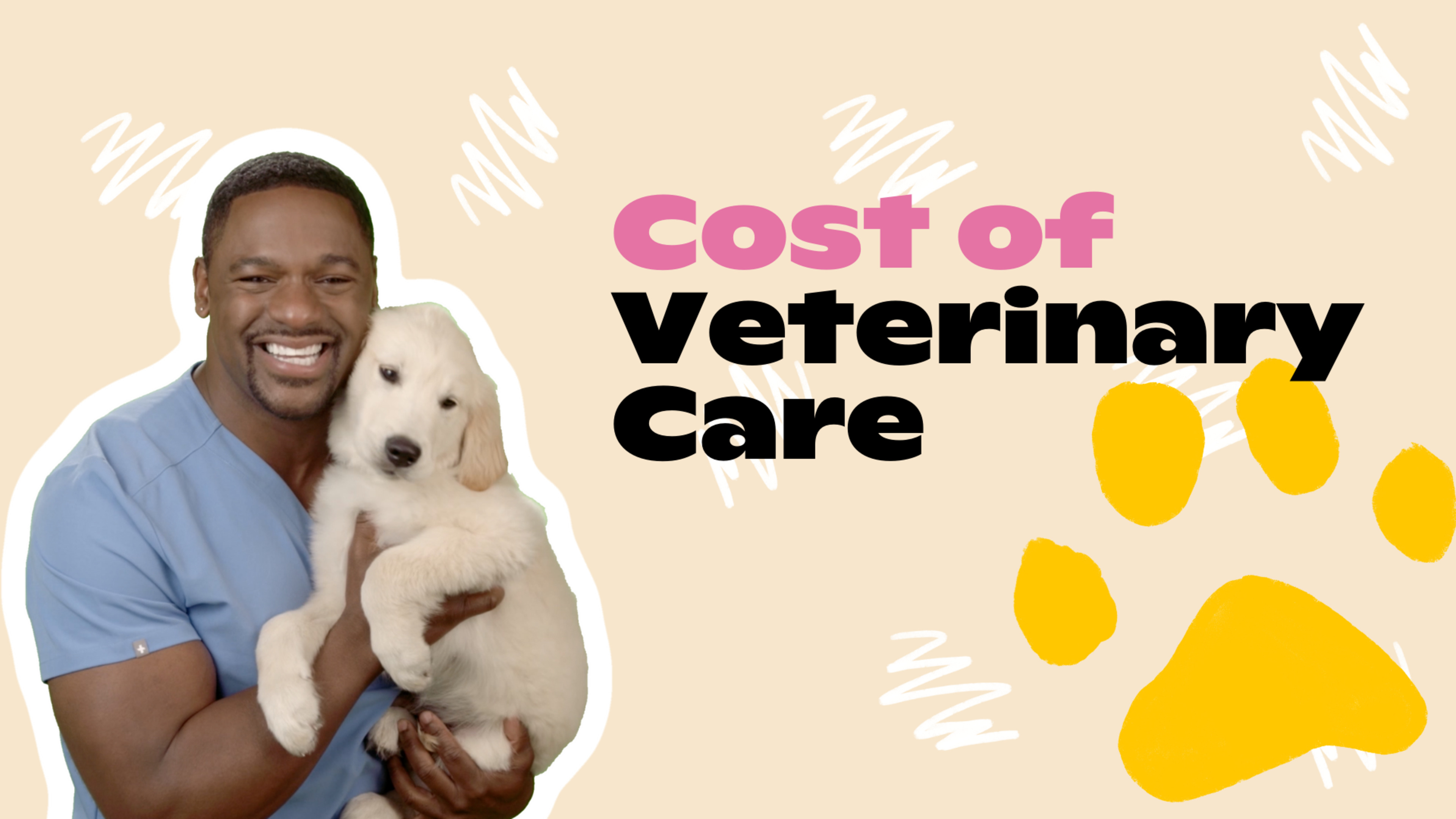 Cost of Veterinary Health Care