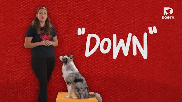 Down