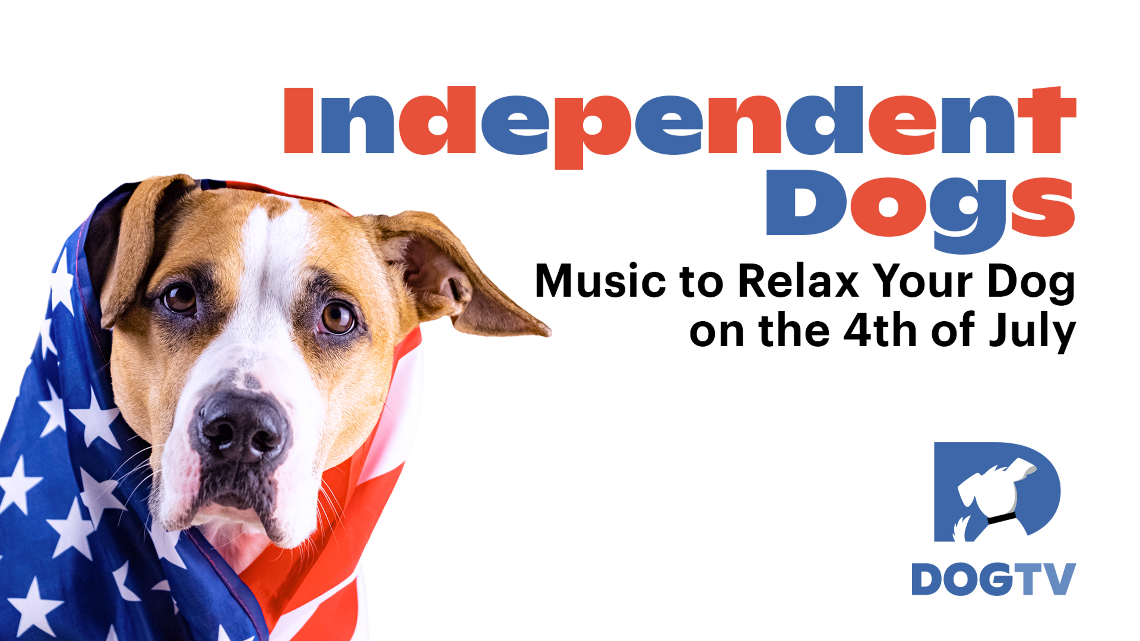 Independent Dogs: Music to Relax Your Dog on the 4th of July