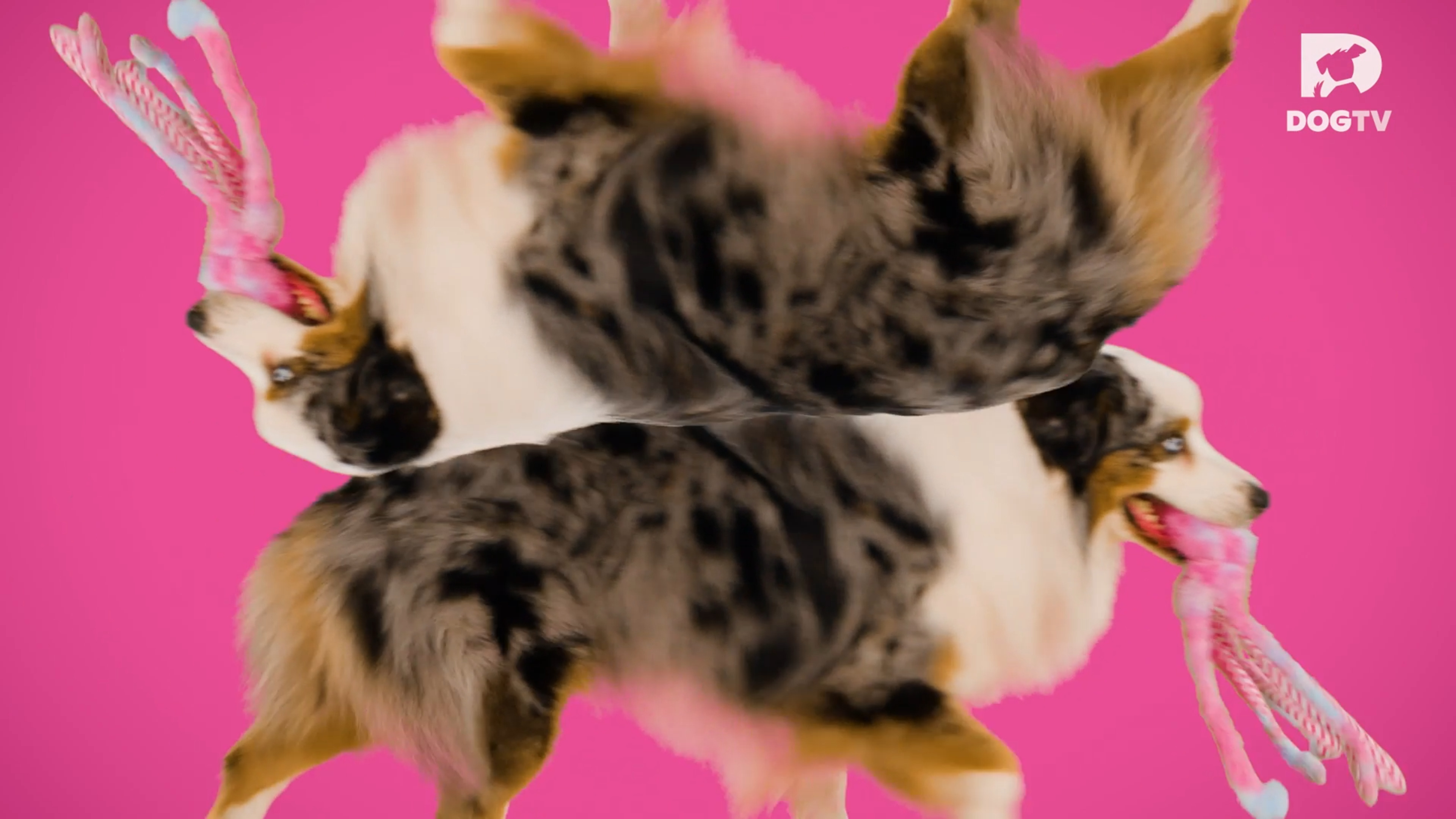 Playful Perspectives