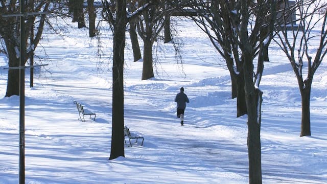 Snowy Park