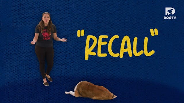 Recall