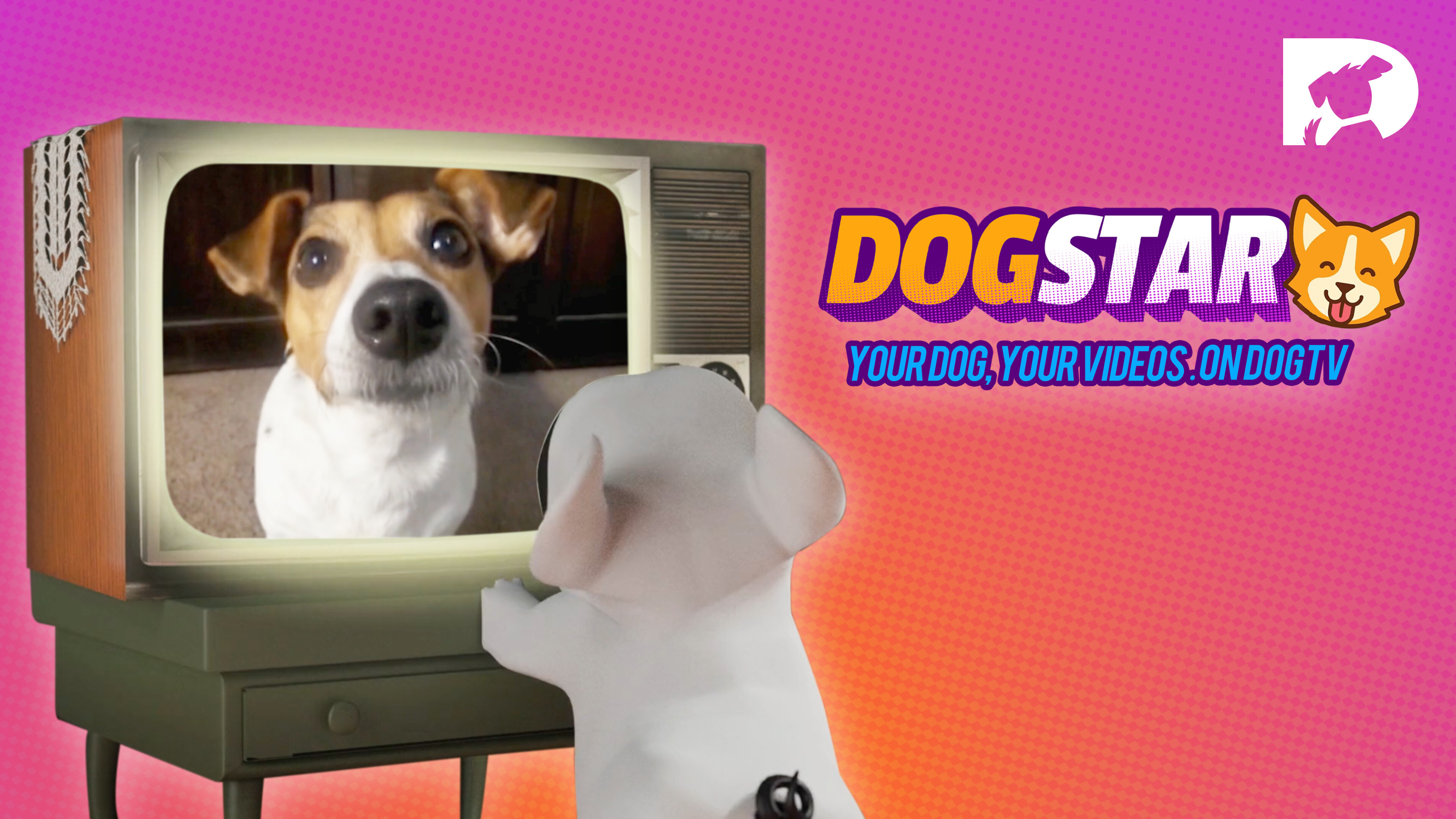 Dogstar - Your Dog on Dogtv