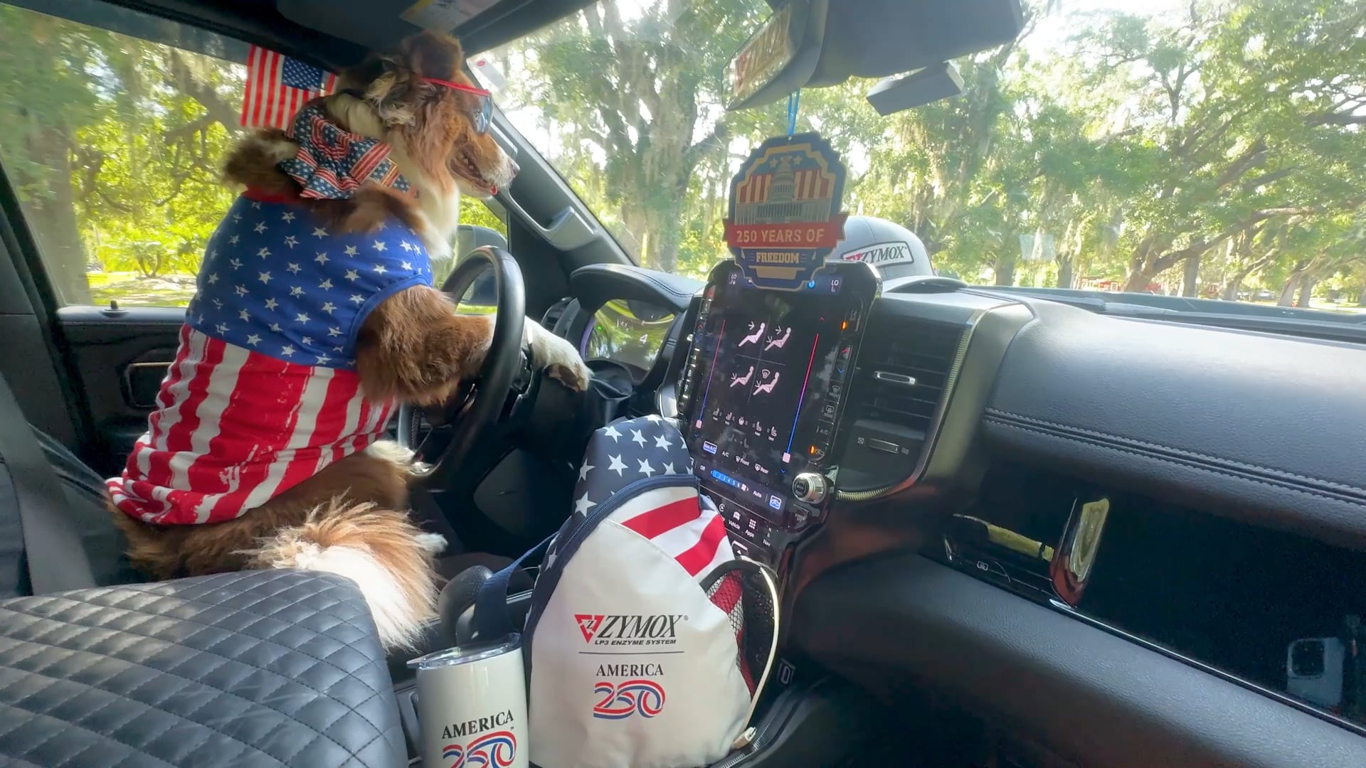 Hit the Road with the ZYMOX American Dog Road Trip Giveaway