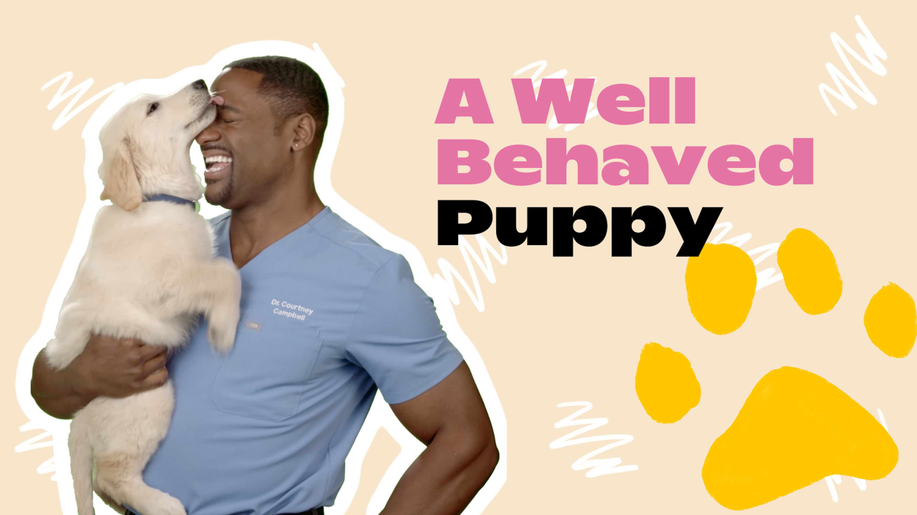 A Well Behaved Puppy