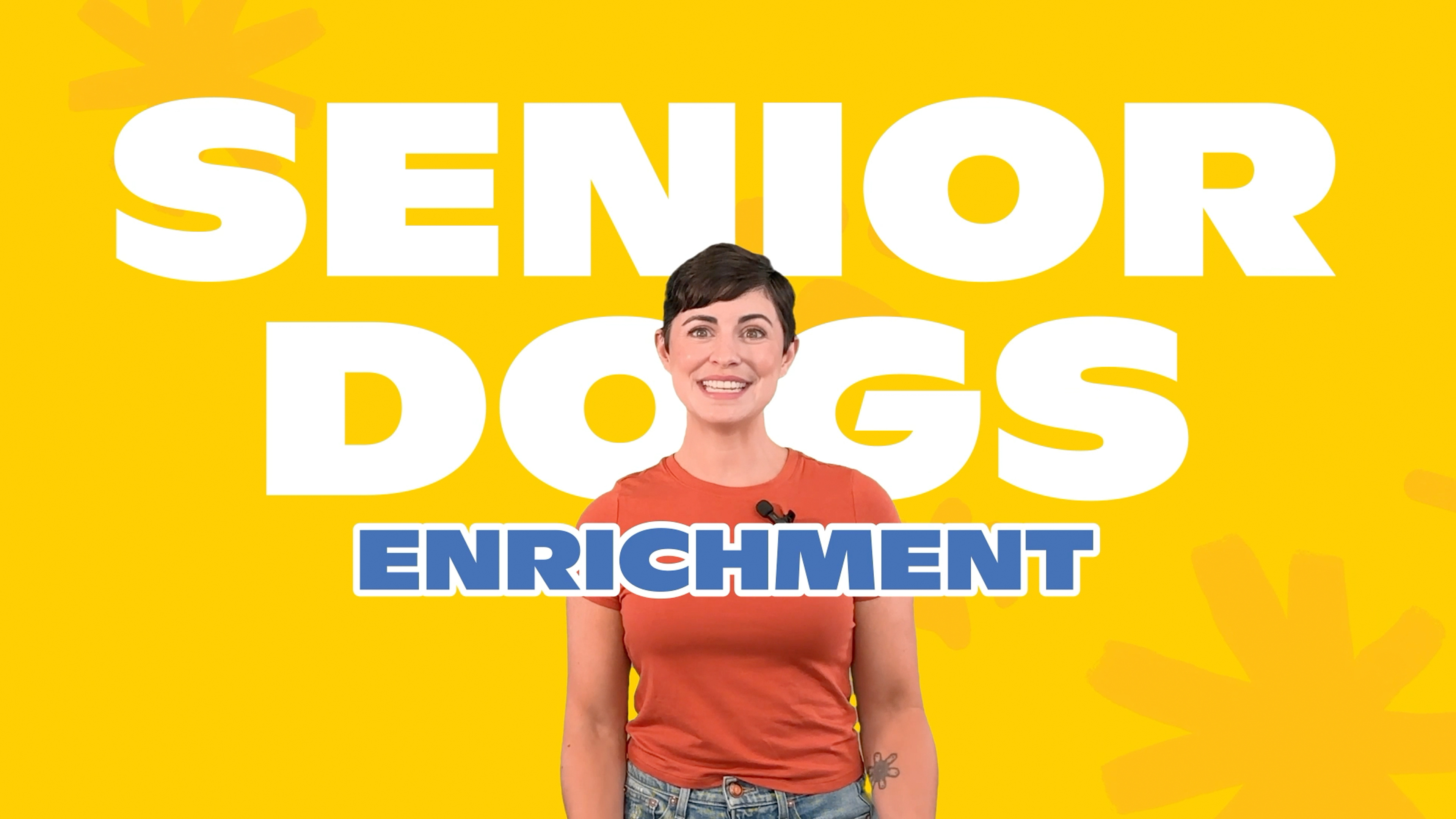 Enrichment for Senior Dogs