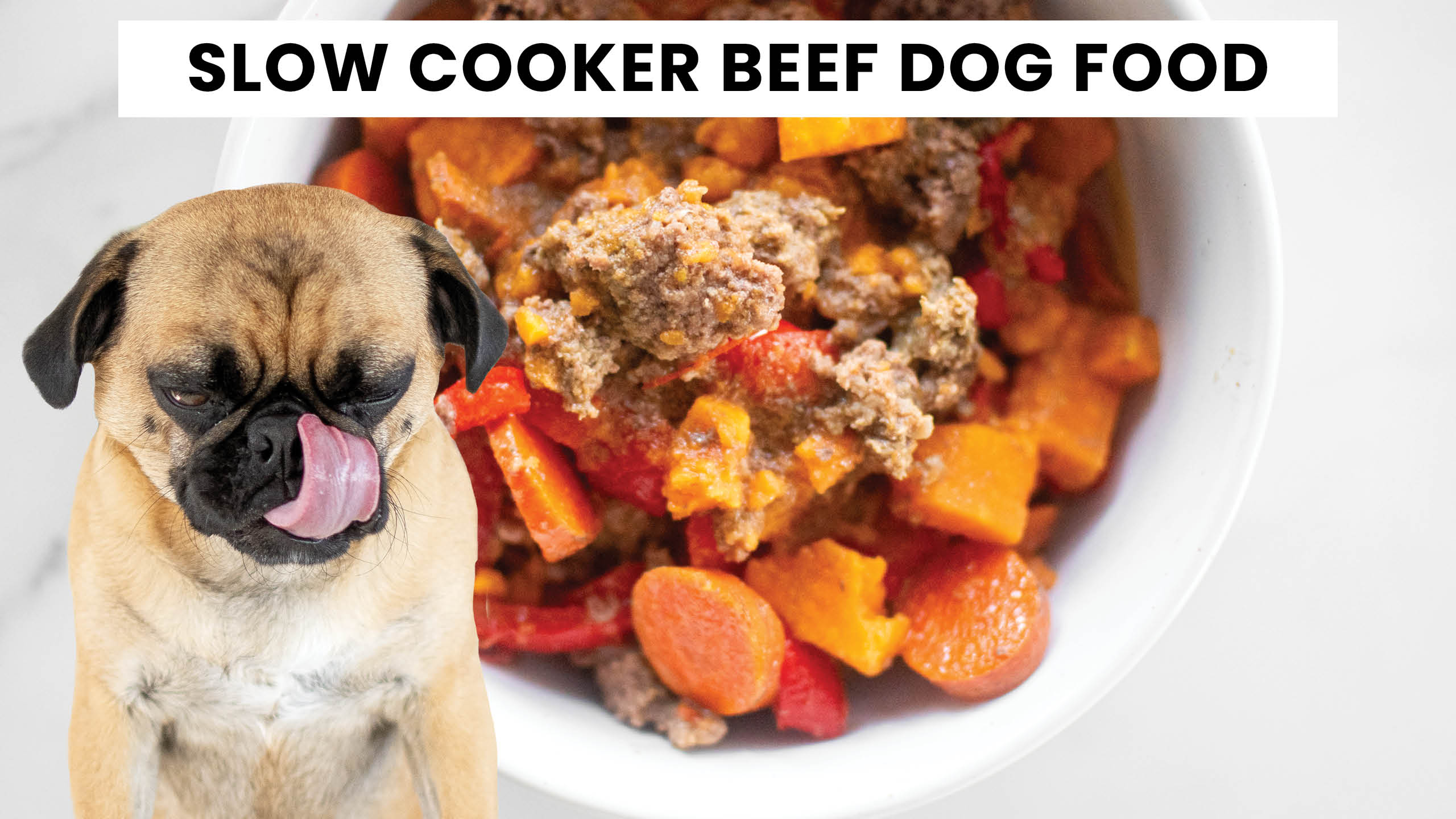 Slow Cooker Beef Dog Food