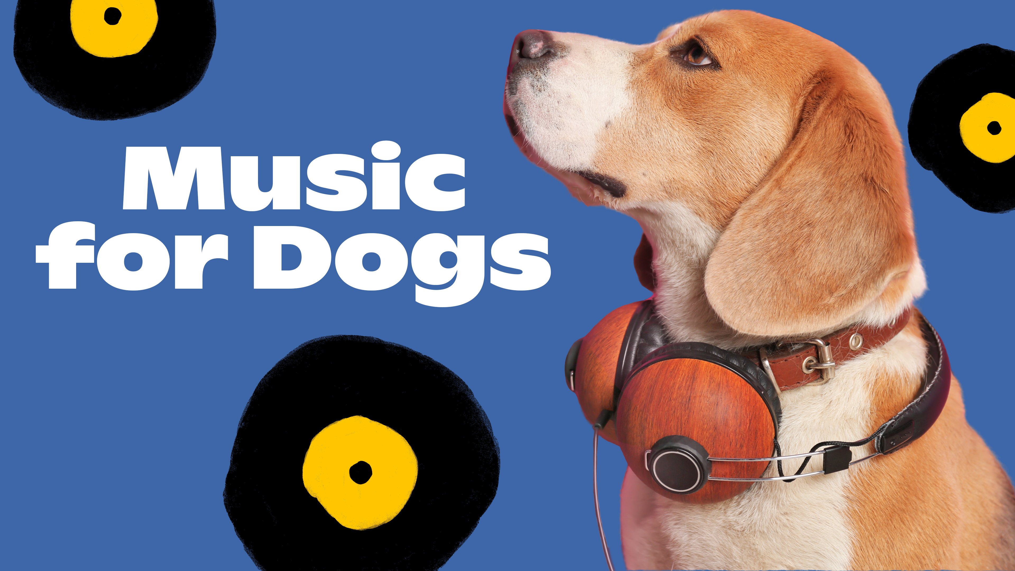 Music for Dogs
